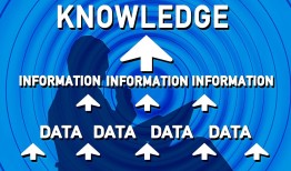 程序员接外包需要什么水平？必备技能与避坑指南，轻松开启自由职业之路
