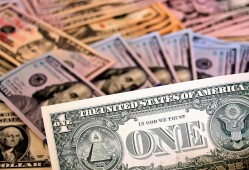 小学生黑客入门指南：从编程到网络安全，安全开启数字世界探索之旅